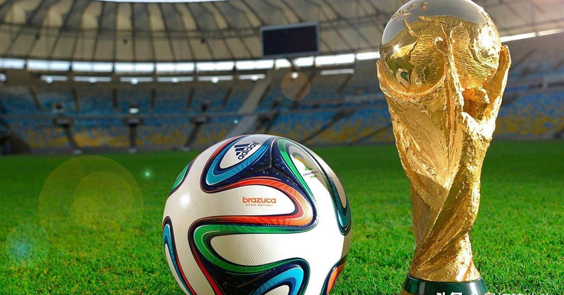 总的来说 总的来说