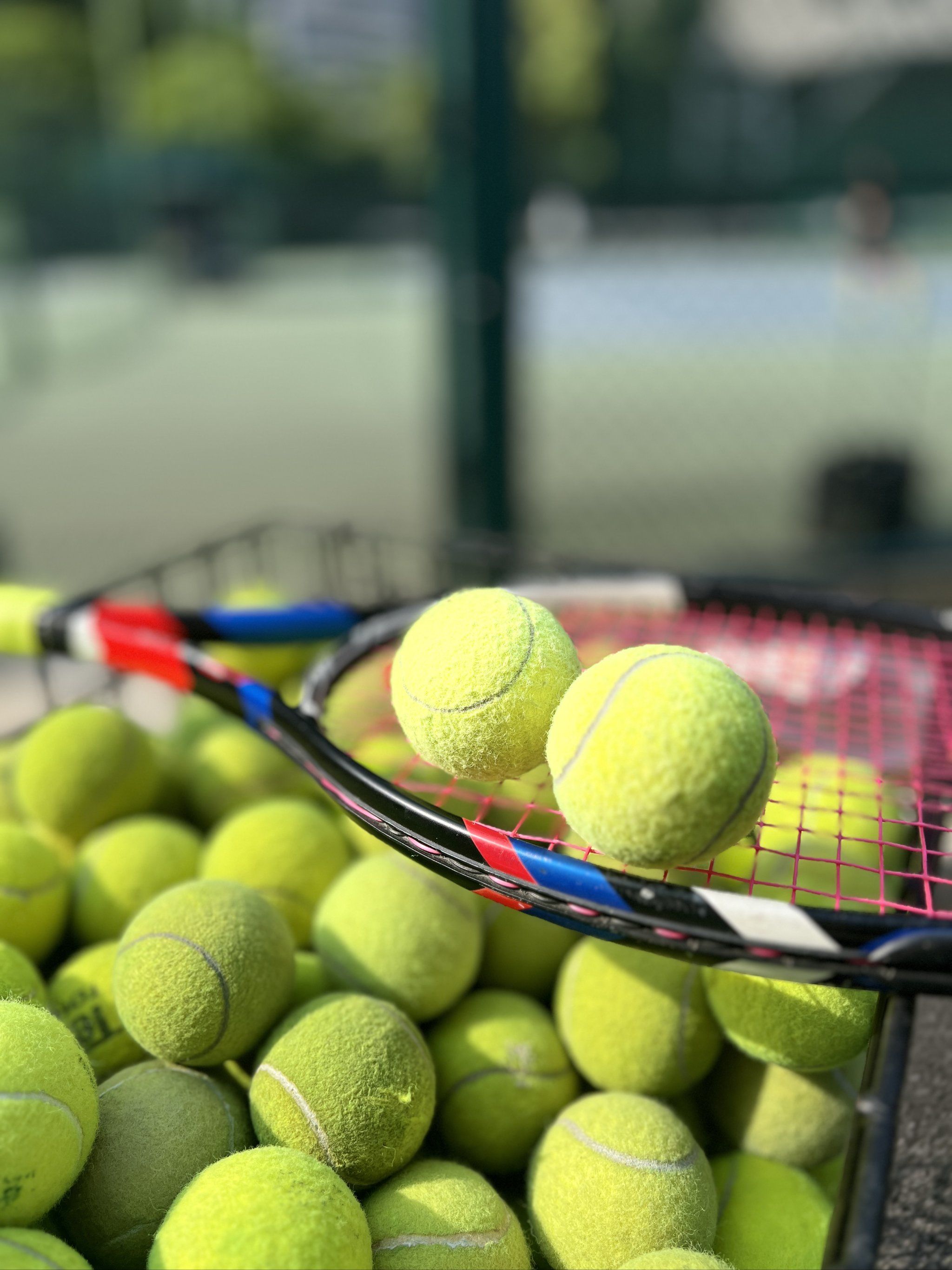 三龙被抢并 三龙被抢并