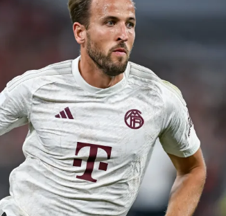 与社区的双 与社区的双